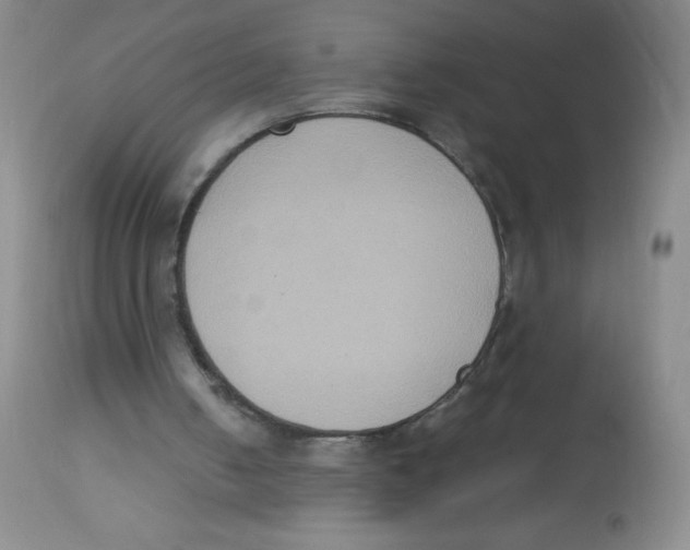 X0000113950050200910232016