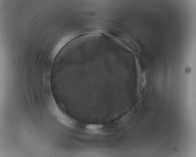 X0000113950051200910232016
