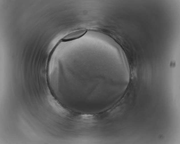 X0000113950052200910232016
