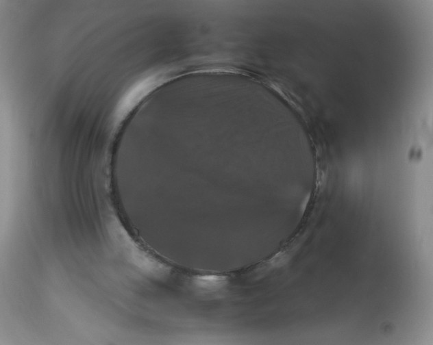 X0000113950053200910232016