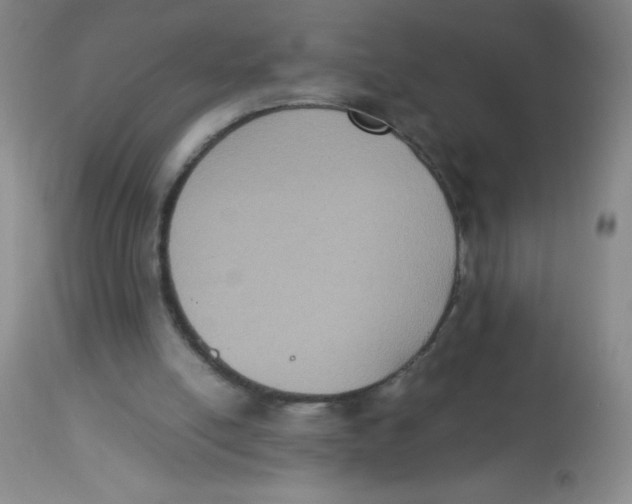 X0000113950054200910232016