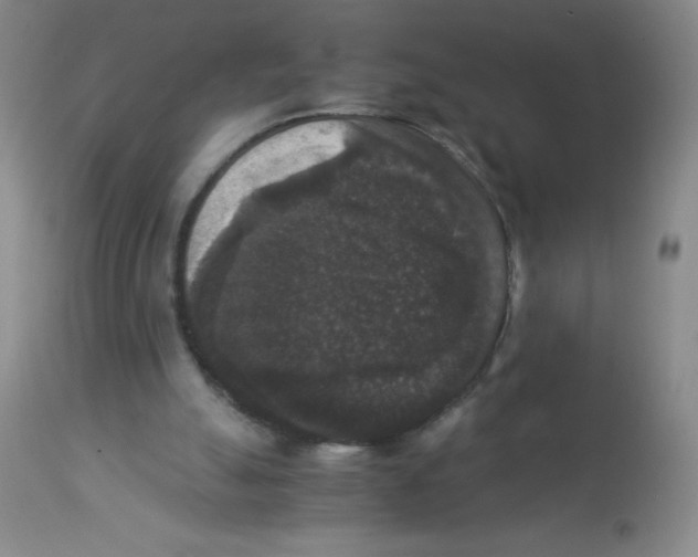 X0000113950055200910232016