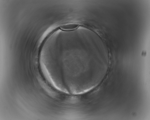 X0000113950056200910232016