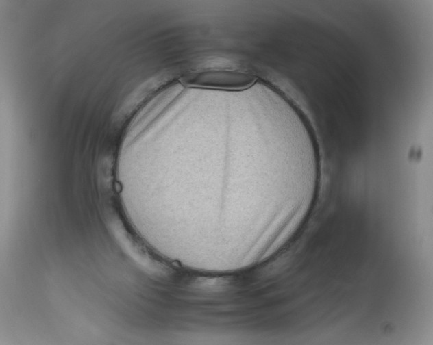 X0000113950057200910232016