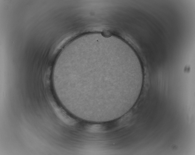 X0000113950058200910232016