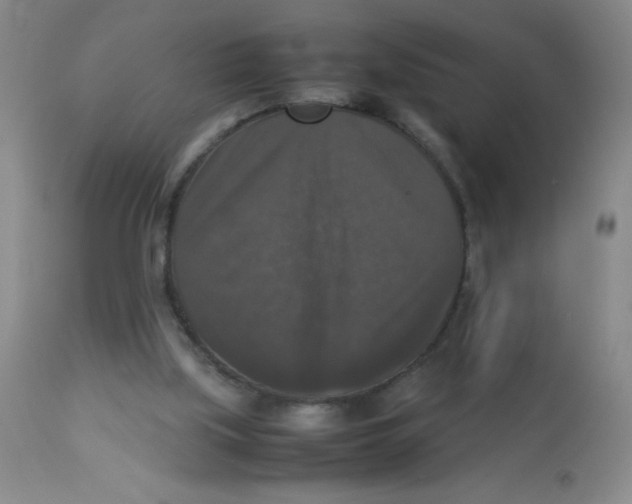 X0000113950059200910232016