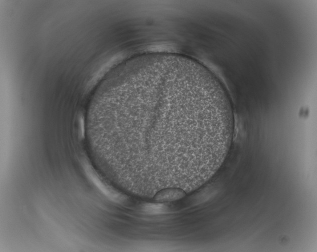 X0000113950061200910232016
