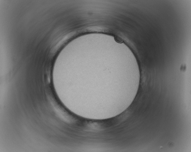 X0000113950062200910232016