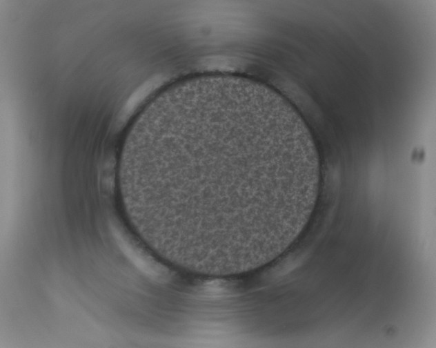 X0000113950064200910232016