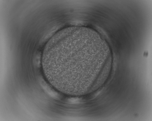 X0000113950065200910232016