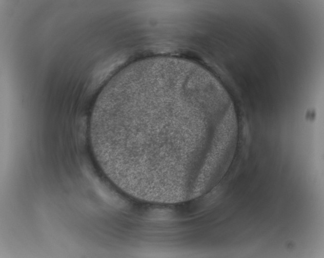 X0000113950066200910232016