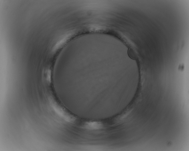 X0000113950067200910232016