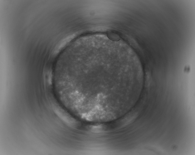 X0000113950068200910232016
