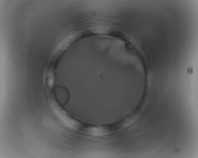 X0000113950069200910232016
