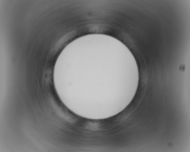X0000113950071200910232016