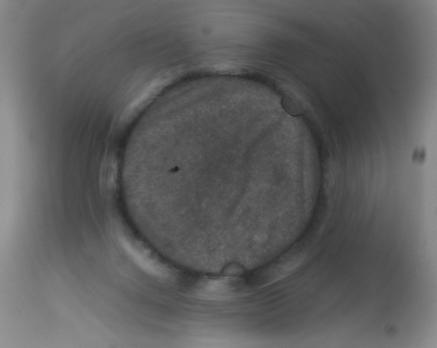 X0000113950072200910232016