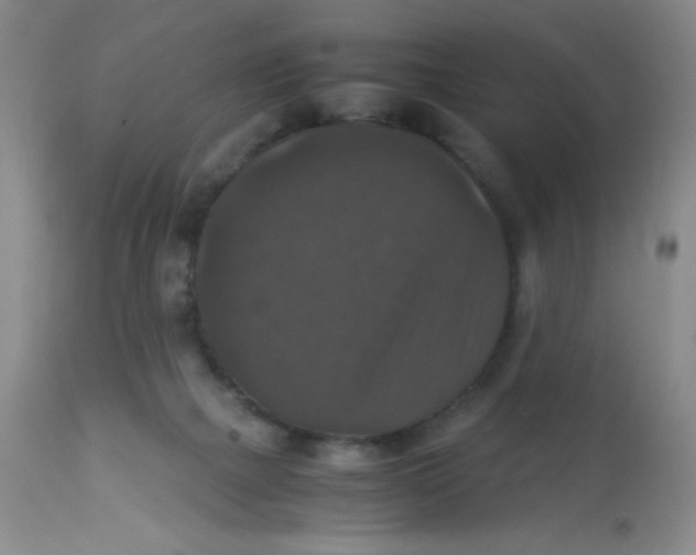 X0000113950073200910232016
