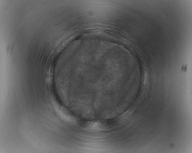 X0000113950074200910232016
