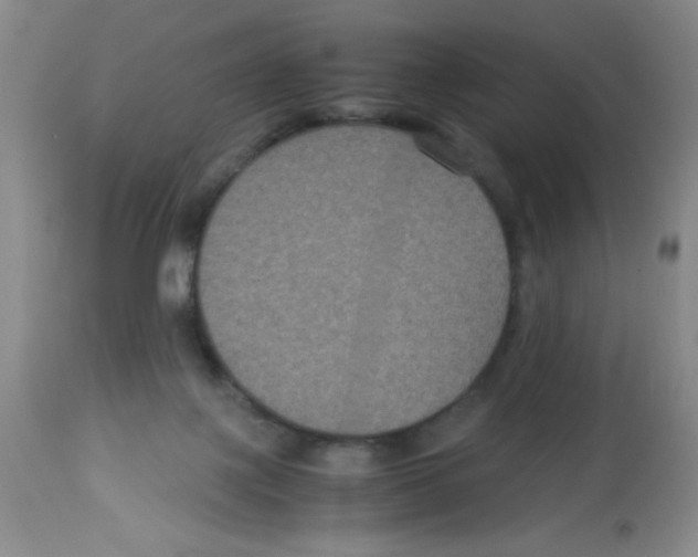 X0000113950075200910232016