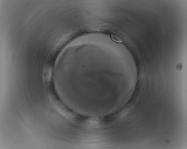X0000113950076200910232016