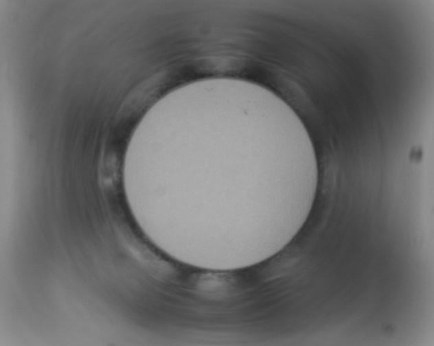 X0000113950077200910232016