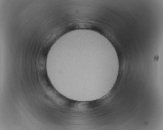 X0000113950078200910232016