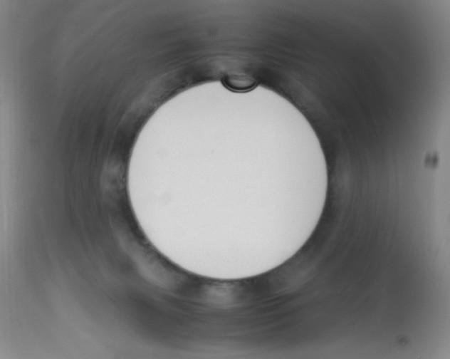 X0000113950079200910232016