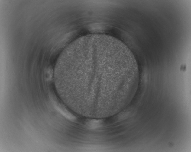 X0000113950081200910232016