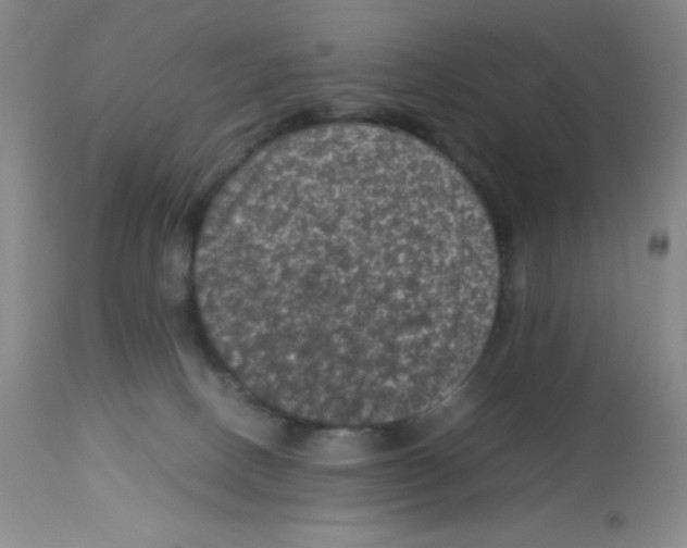 X0000113950082200910232016