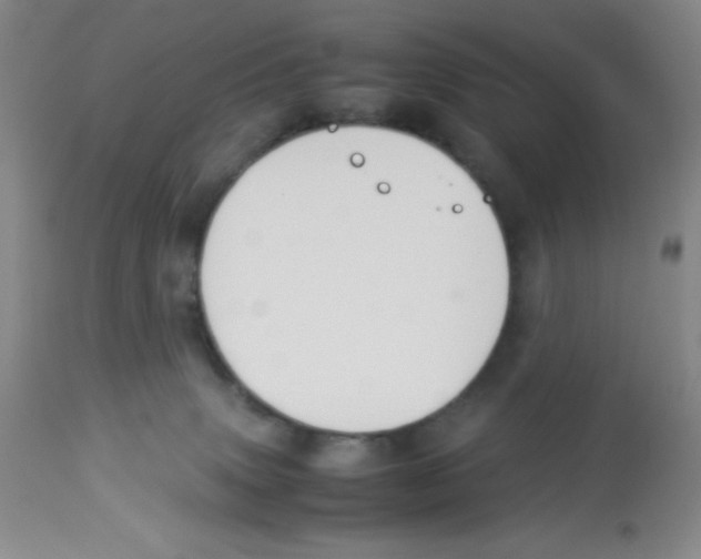 X0000113950083200910232016