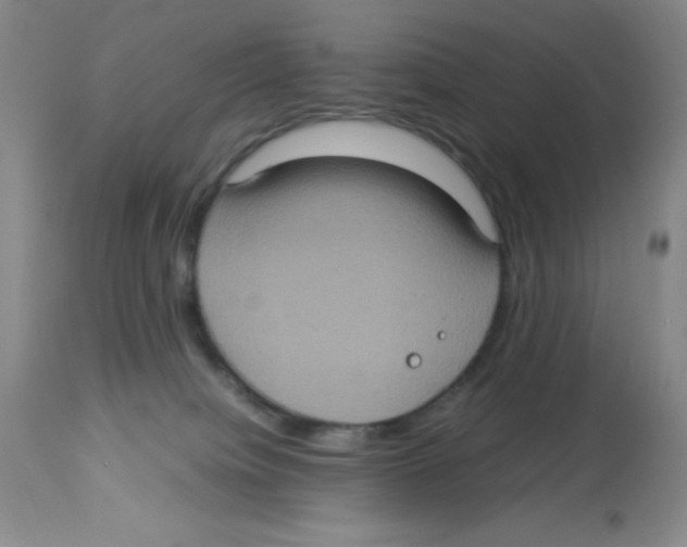 X0000113950084200910232016