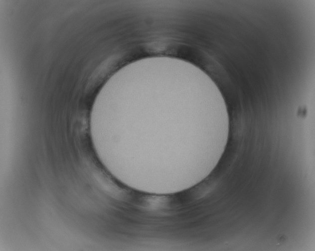 X0000113950085200910232016
