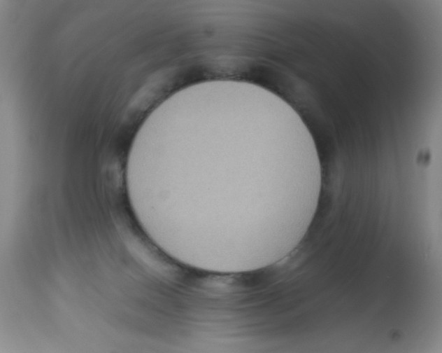 X0000113950086200910232016