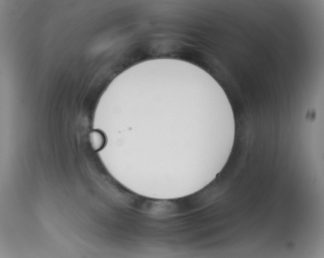 X0000113950087200910232016