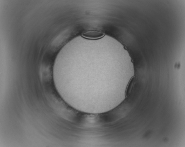 X0000113950088200910232016