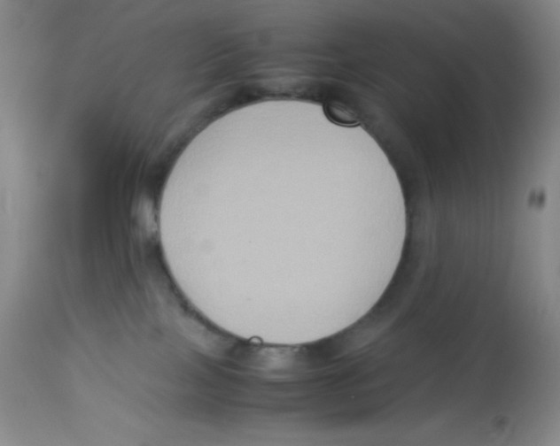 X0000113950089200910232016
