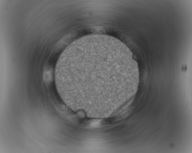 X0000113950090200910232016