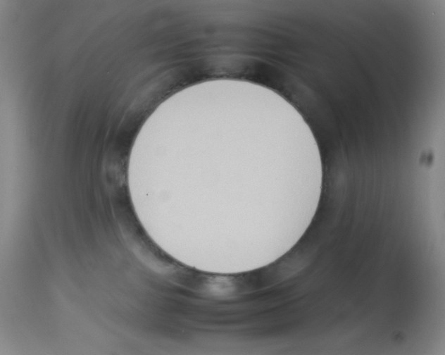 X0000113950091200910232016