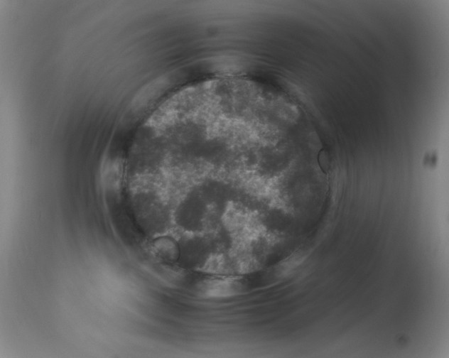 X0000113950093200910232016