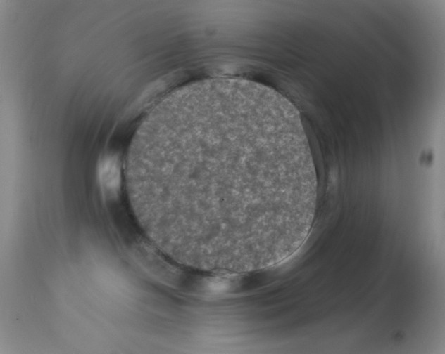 X0000113950094200910232016