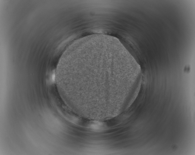 X0000113950095200910232016