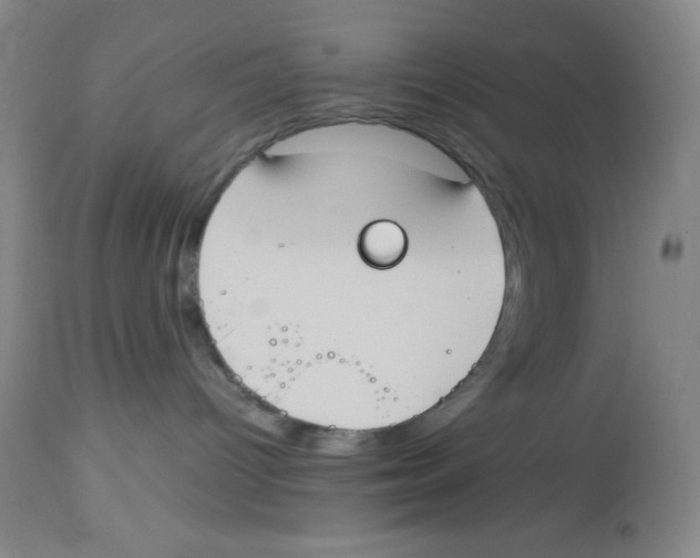 X0000113950096200910232016
