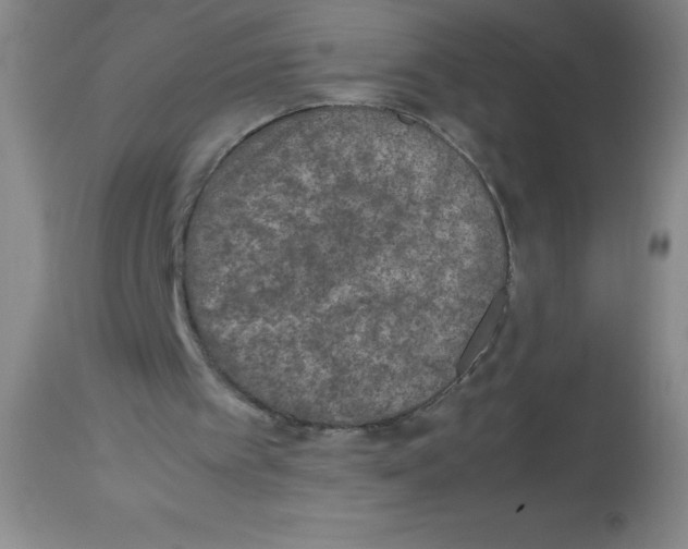 X0000113950097200910232016