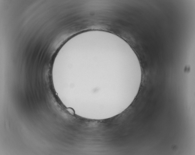 X0000113950098200910232016