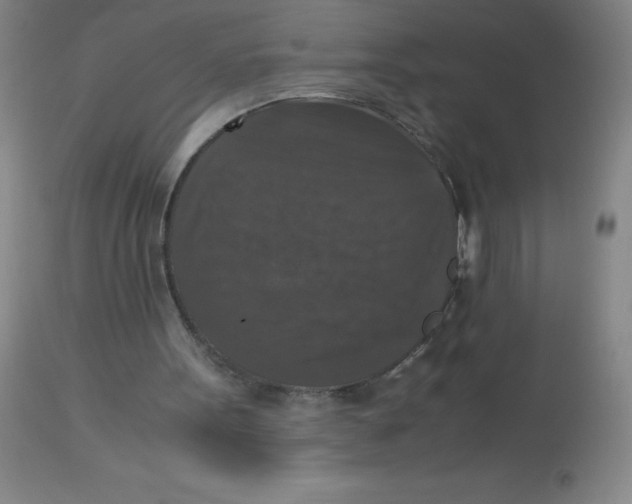 X0000113950099200910232016