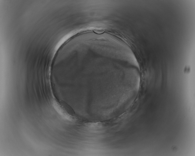 X0000113950100200910232016
