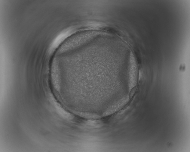 X0000113950101200910232016