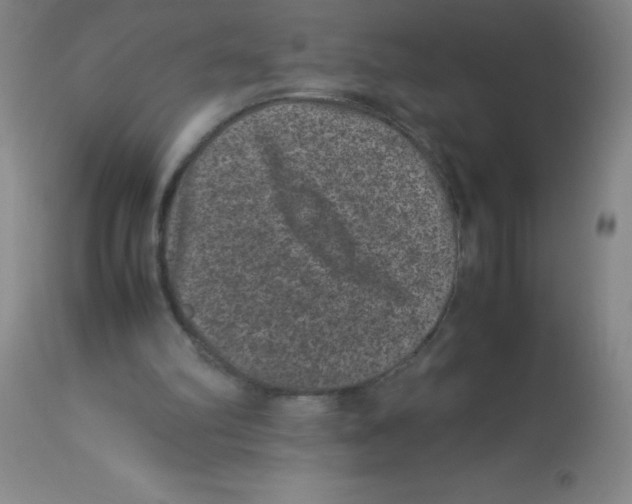 X0000113950102200910232016