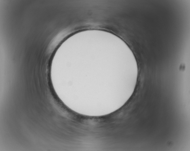 X0000113950103200910232016