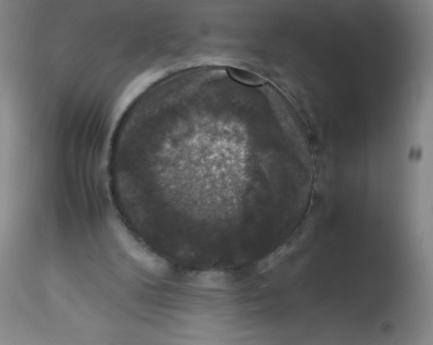 X0000113950104200910232016